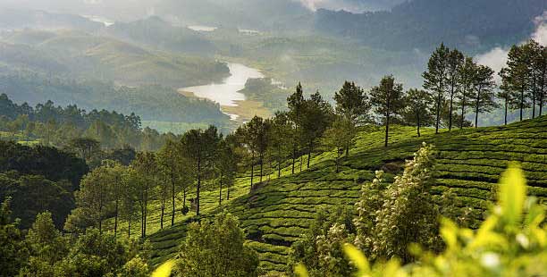 south india tour packages